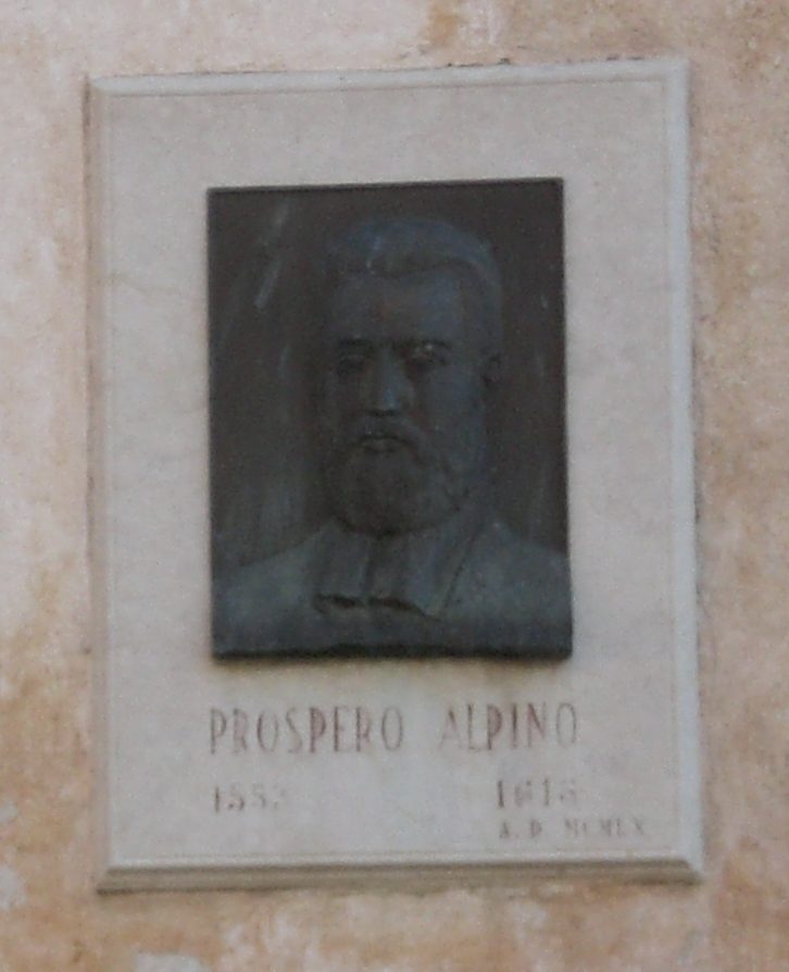 Prospero%20Alpini%27s%20tablet%20-%2004.JPG